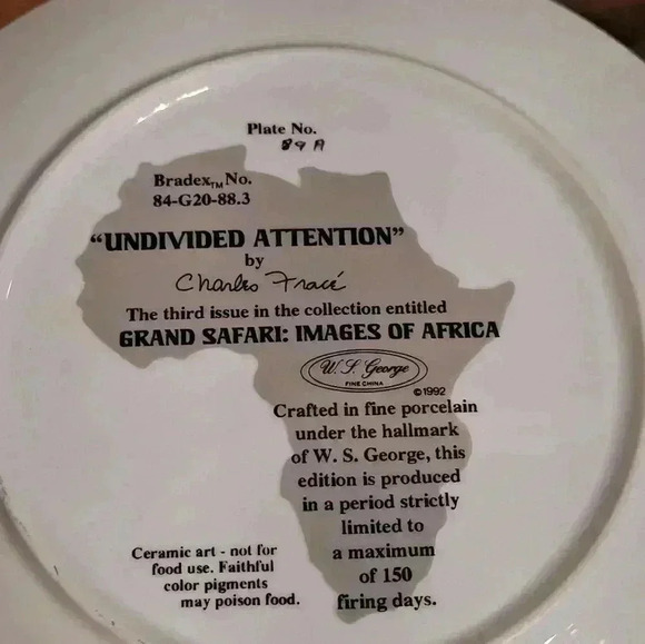 Zebra Undivided attention plate by  Charles France EUC - Picture 5 of 6